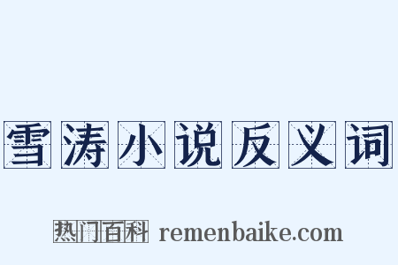 雪涛小说反义词是什么意思的图片